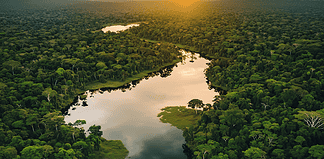 The Spirit of Yara – The Guardian of the Amazon and the Warrior’s Curse Yara, the Spirit of the Amazon, rising from the river as mist, watching over the rainforest.
